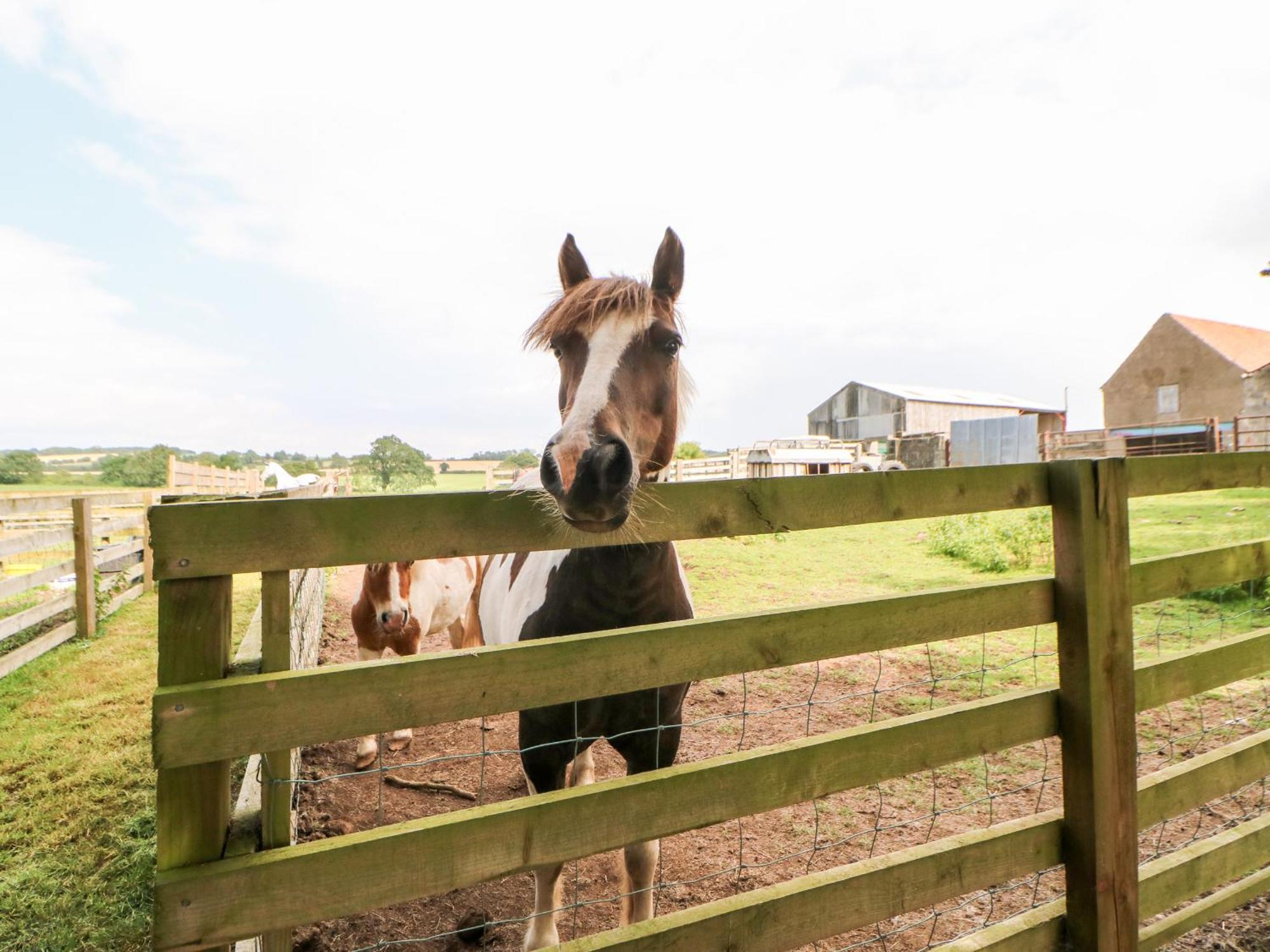 The Barn Villa Northallerton Luaran gambar